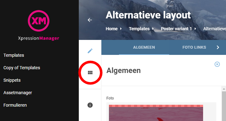 Alternatieve layout button.png